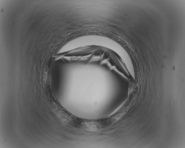 X0000083660417200703121816