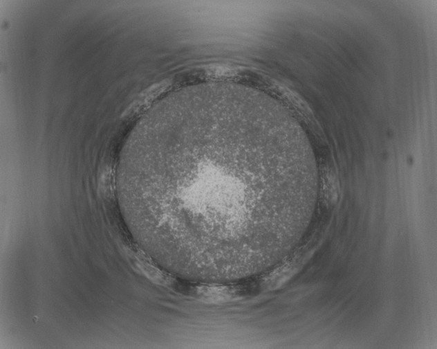 X0000083660419200703121816