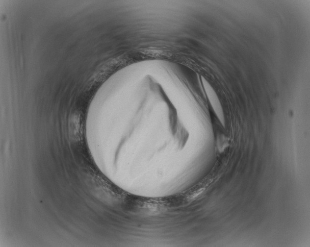 X0000083660420200703121816