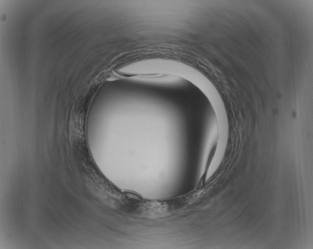 X0000083660421200703121816