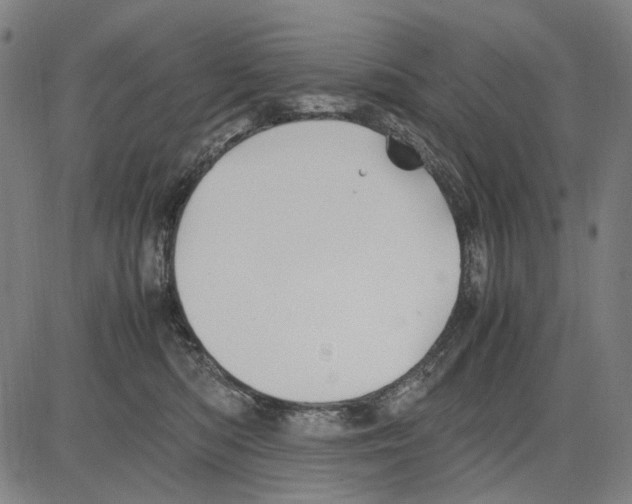 X0000083660422200703121816