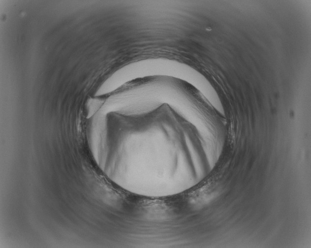 X0000083660424200703121816