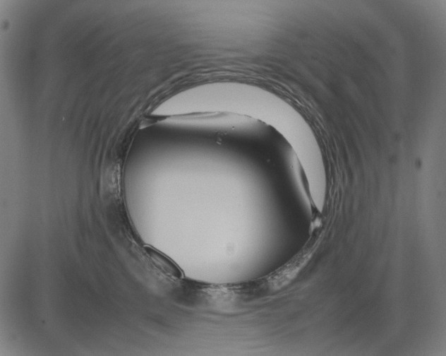 X0000083660425200703121816