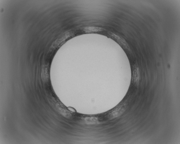 X0000083660426200703121816