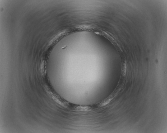 X0000083660428200703121816