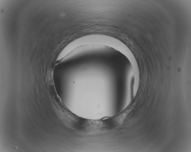 X0000083660429200703121816