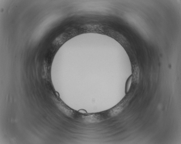 X0000083660430200703121816