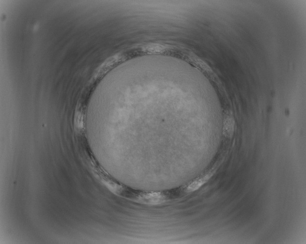 X0000083660431200703121816