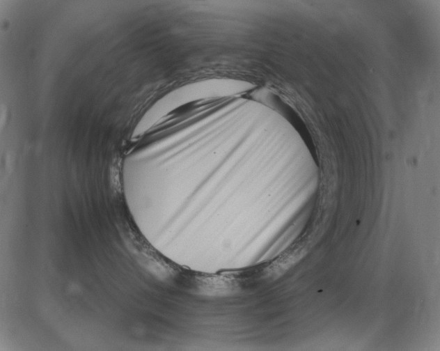 X0000083660432200703121816