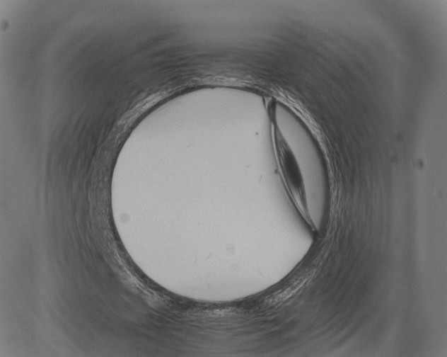 X0000083660433200703121815