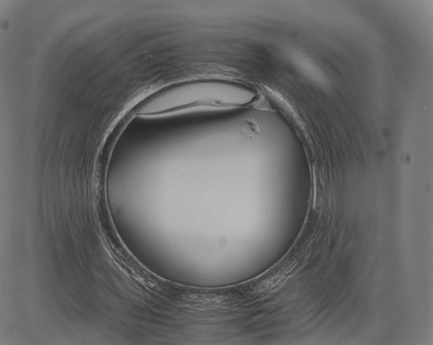 X0000083660435200703121815