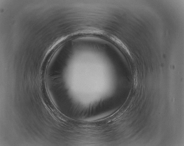 X0000083660436200703121815