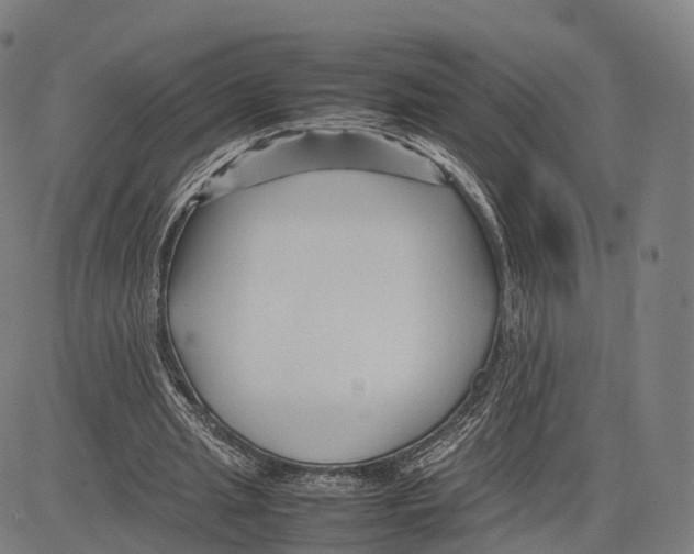 X0000083660437200703121815