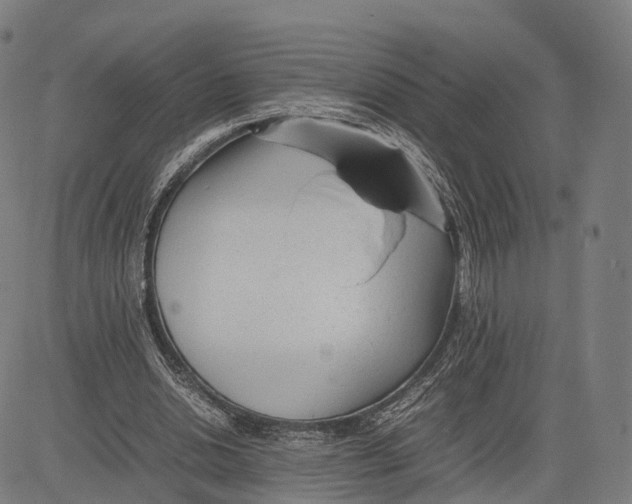 X0000083660438200703121815