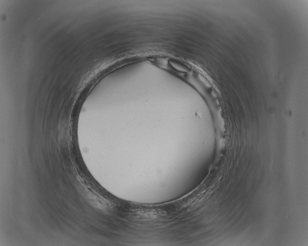 X0000083660439200703121815