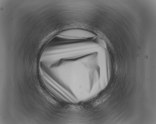 X0000083660442200703121815