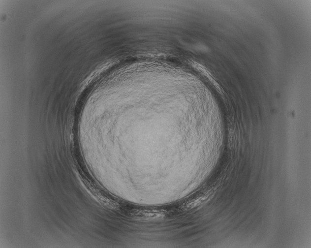 X0000083660443200703121815