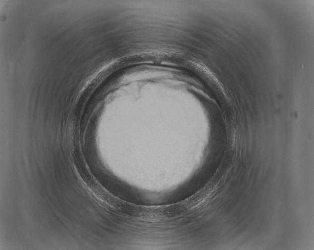 X0000083660444200703121816