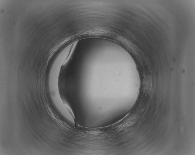 X0000083660446200703121816