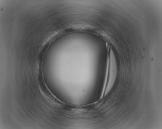 X0000083660448200703121816