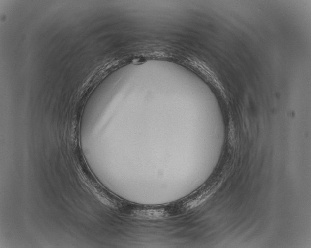 X0000083660449200703121816