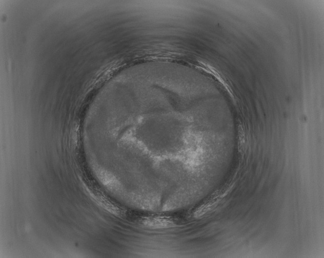 X0000083660451200703121816