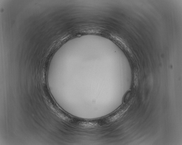 X0000083660453200703121816