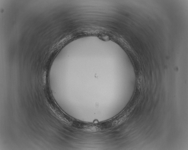 X0000083660454200703121816