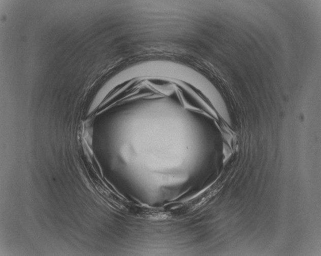 X0000083660456200703121816