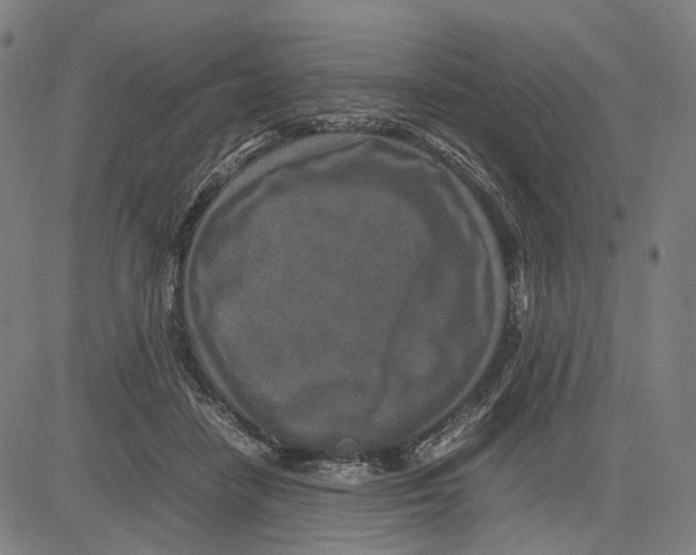 X0000083660458200703121816