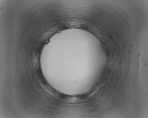 X0000083660460200703121816