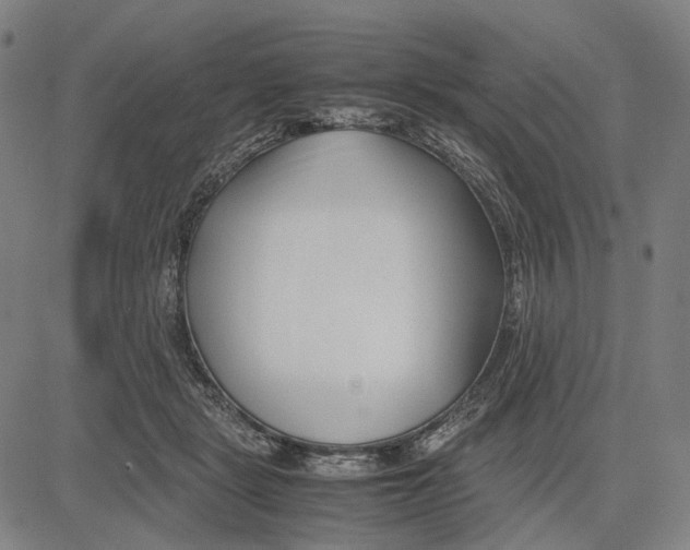 X0000083660461200703121816