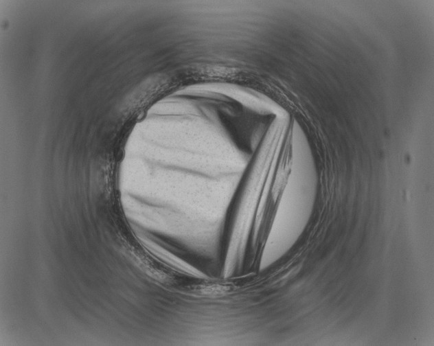 X0000083660462200703121816