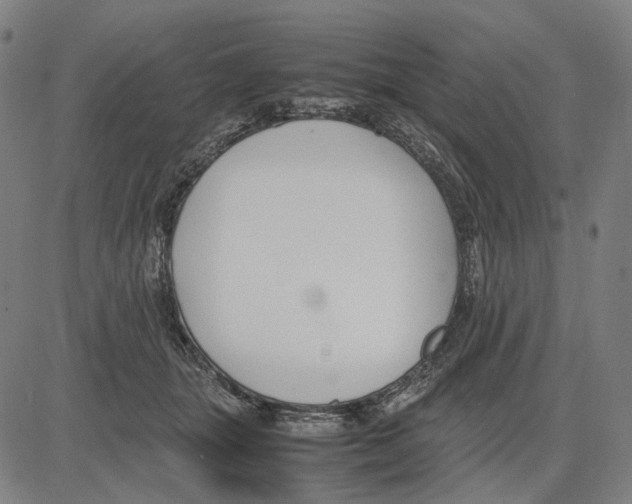 X0000083660463200703121816