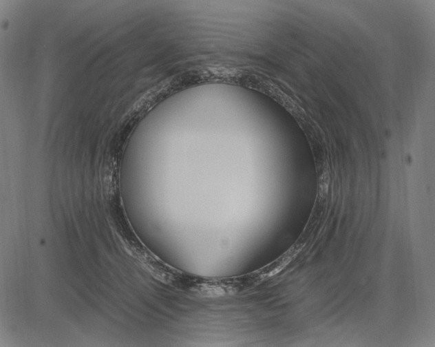 X0000083660464200703121816