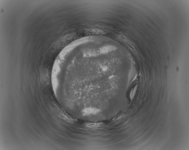 X0000083660465200703121816