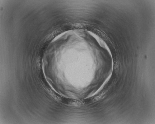 X0000083660466200703121816