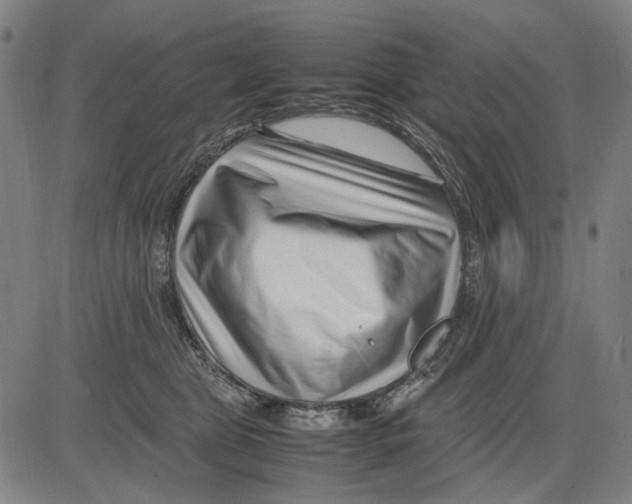 X0000083660469200703121816