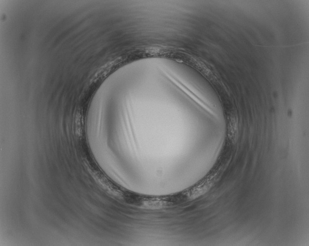 X0000083660470200703121816