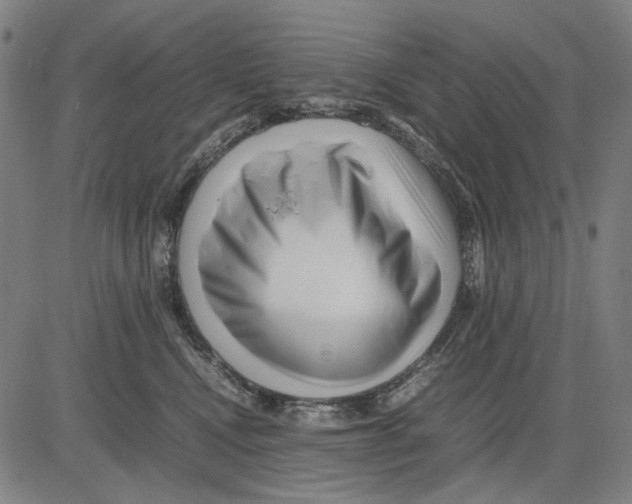 X0000083660472200703121816