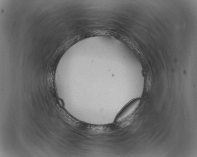 X0000083660473200703121816