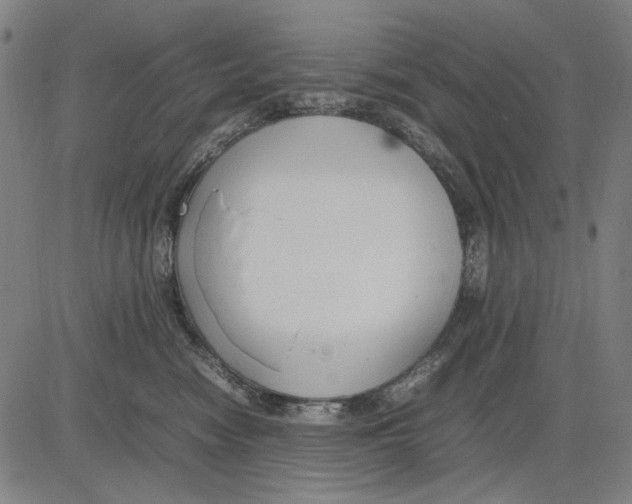 X0000083660474200703121816