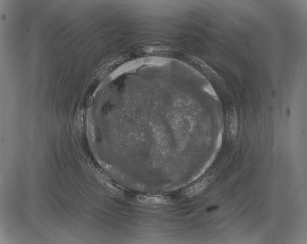 X0000083660475200703121816