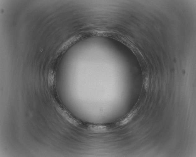 X0000083660476200703121816