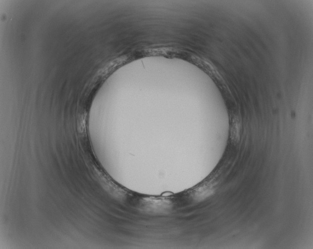 X0000083660477200703121816