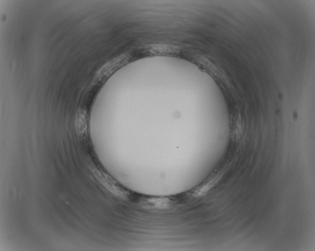 X0000083660478200703121816