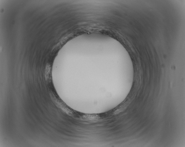 X0000083660480200703121816