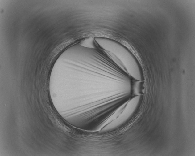 X0000083660481200703121815