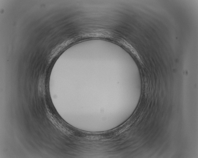 X0000083660482200703121815