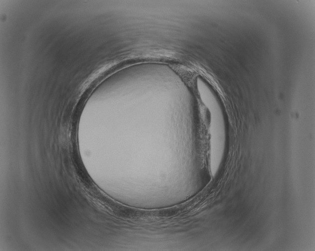 X0000083660483200703121815